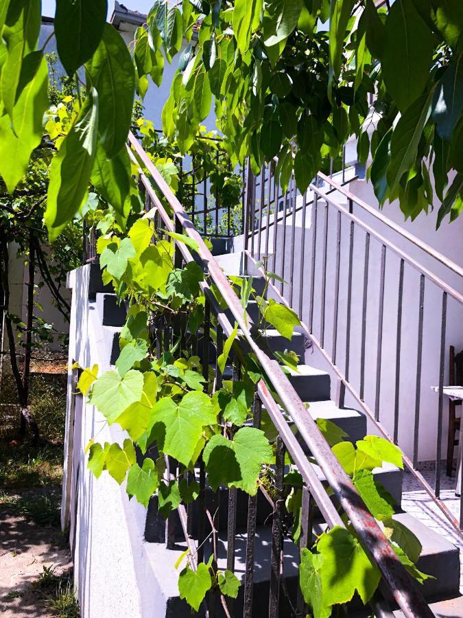 Renata Holiday Apartments อุลซิน ภายนอก รูปภาพ