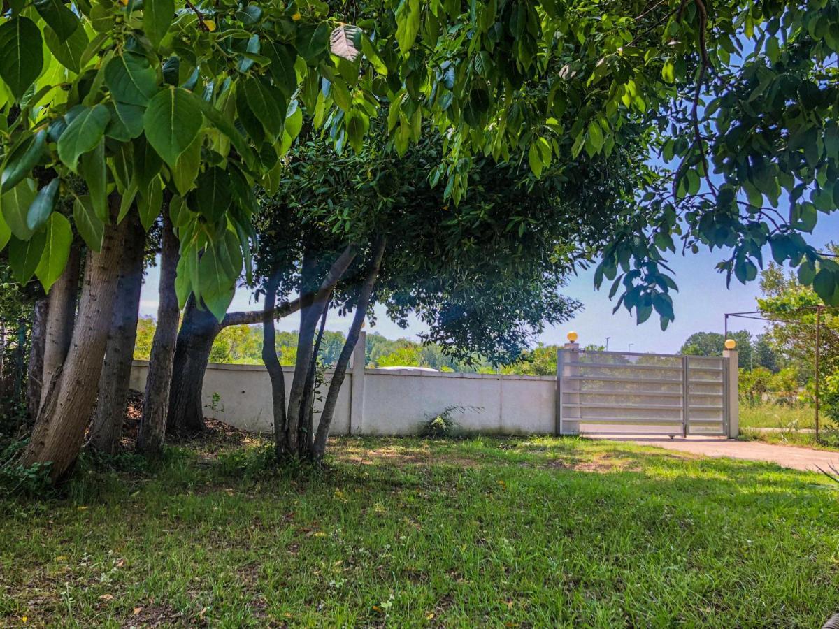 Renata Holiday Apartments อุลซิน ภายนอก รูปภาพ